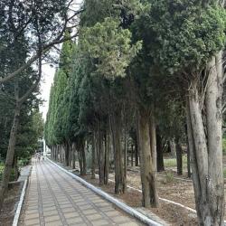 Фото Отель Белый лебедь