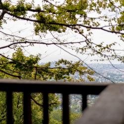 Фото Отель Фазенда Огни Сочи