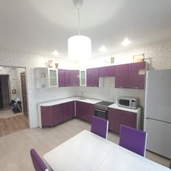 Фото Апартаменты на улице Дружбы