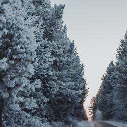 Номер стандарт улучшенный с 1 двуспальной кроватью