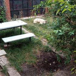 Коттедж стандарт