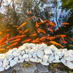 Фото Отель Черноморская здравница