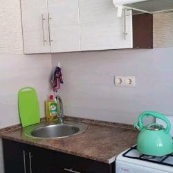 Фото Апартаменты на улице Мира 15