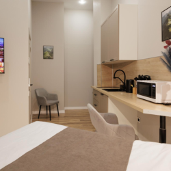 1-комнатные апартаменты студия (без окна)