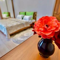 Фото Апартаменты на улице Чкалова 76