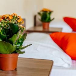 Фото Отель Весна