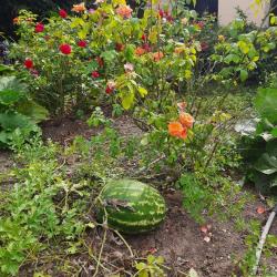 Фото Отель Город-Ок!