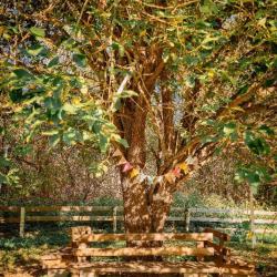 Фото Отель Маленькая Сербия