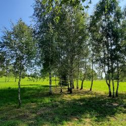 Фото Отель ТехноХутор