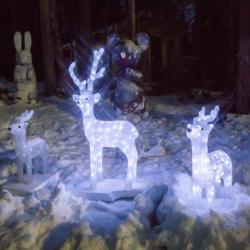 Фото Отель Огни Имандры