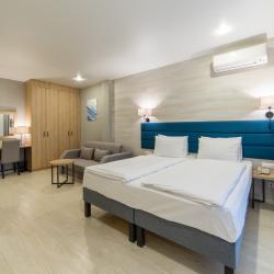 Номер стандарт плюс с 1 двуспальной кроватью