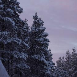 Фото Отель Гиперборея