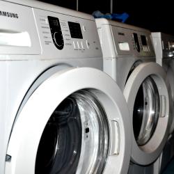 фото 7 Вежливый Лось на Ботаническом саду