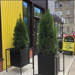 Фото Лимон апарт-отель