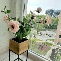 Фото Апартаменты стандарт на улице Валентина Мосина 6