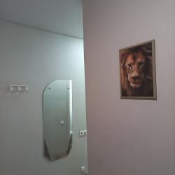 Апартаменты студия 1