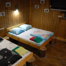 Номер студия семейный