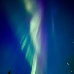 Фото Отель Лапландия