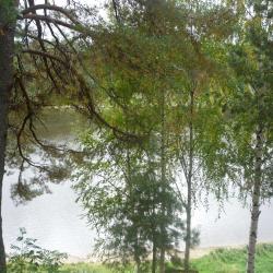 Фото Отель Жемчужина Сухоны