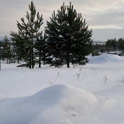 Фото Отель Дом 70 м² на участке 12,5 сот.