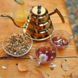 Фото Отель Гоначхир