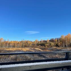 Фото Отель Шепот