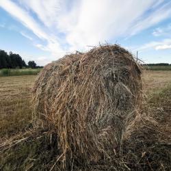 Фото Отель Усадьба