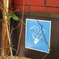 Номер эконом семейный (мансарда)