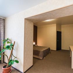 Номер стандарт с 1 двуспальной кроватью