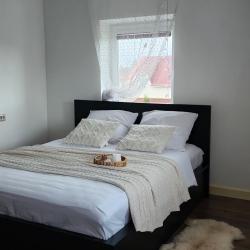 Фото Отель Уютная Орхидея