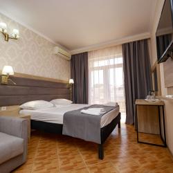 Номер делюкс с 1 двуспальной кроватью (вид на бассейн)