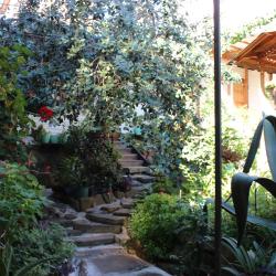 Фото Отель Эдем