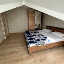 1-комнатные апартаменты стандарт (мансарда)