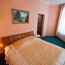 Номер полулюкс с 1 двуспальной кроватью