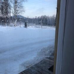 Фото Отель Брусника