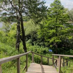 Фото Дачный отель Лесные Поляны