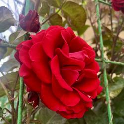 Фото Отель Рита