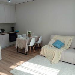 Апартаменты улучшенные Ахшарумова 25, 199