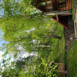 Фото Отель Каменный цветок