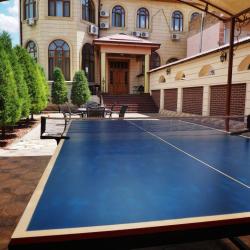 Фото Отель Shosh Avenue Hotel (Шош Авеню)