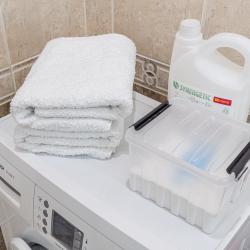 Фото Апартаменты Ирис