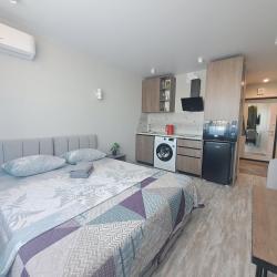 1-комнатные апартаменты студия