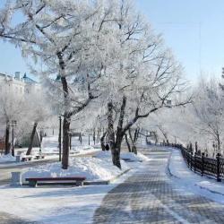 Фото Апартаменты на бульваре Амурский 35