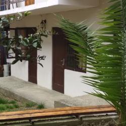 Фото Отель Банановый рай