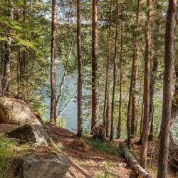 Фото Отель Березка