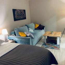 1-комнатные апартаменты стандарт