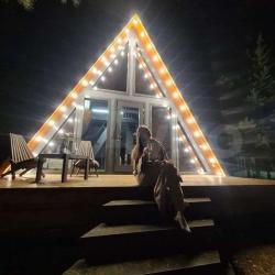 Фото Отель Зеленые