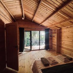 Фото Отель Aqua Resort Dacha (Аква Резорт Дача)