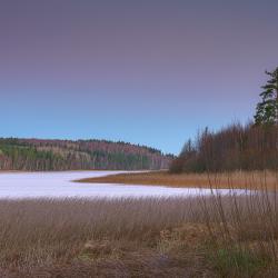 Фото Отель White Resort (Вайт Резорт) Поляны - Карелия