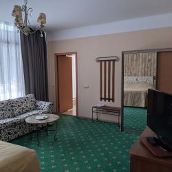 Номер улучшенный с 1 двуспальной кроватью, раскладным диваном панорамным остеклением и балконом